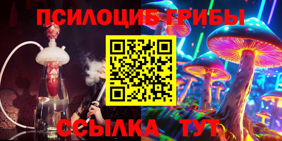 Псилоцибиновые грибы ЛСД  Галлюциногенные грибы ЛСД  Зеленогорск  Вход с VPN 