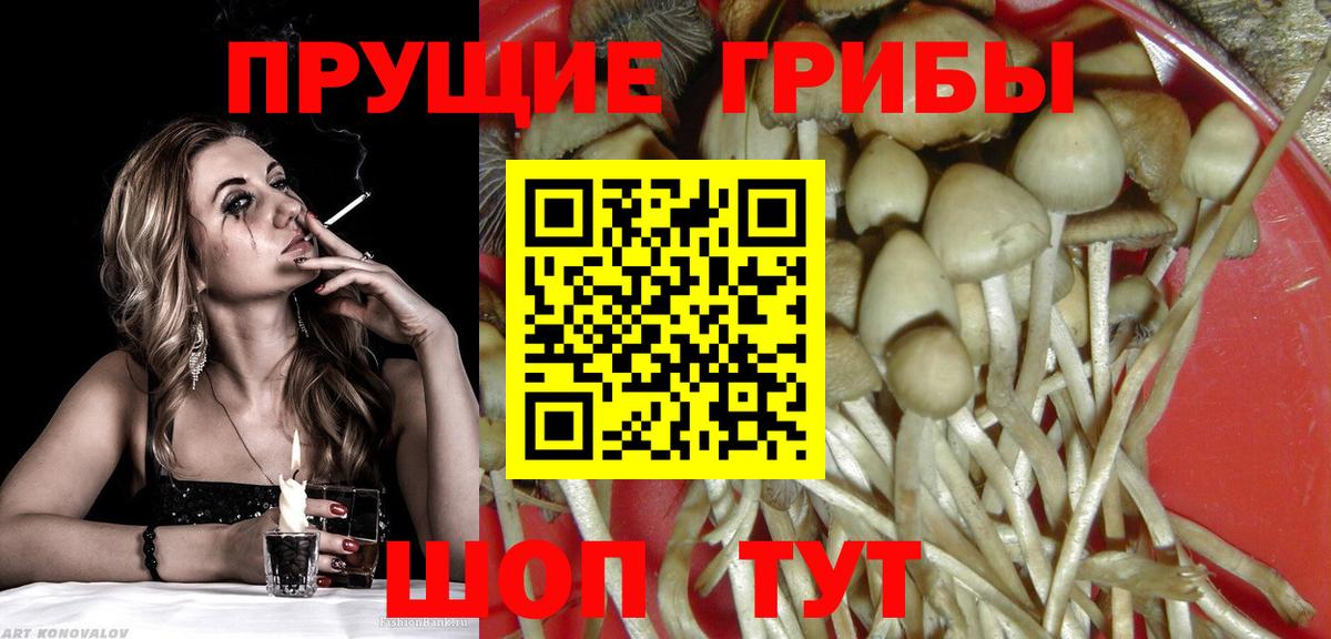 Галлюциногенные грибы Magic Shrooms Зеленогорск